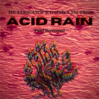 Acid Rain (feat. TrxCidy !! & The Ghost)