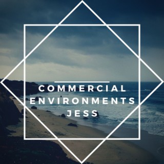 Commercial Environments Jess
