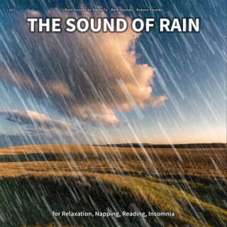 #01 The Sound of Rain for Relaxation, Napping, Reading, Insomnia