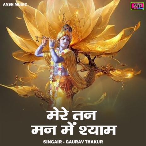 Mere Tan Man Mein Shyam | Boomplay Music