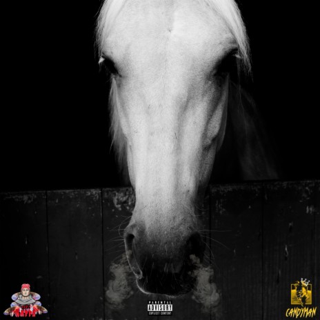 White Bronco ft. ESR Candyman | Boomplay Music