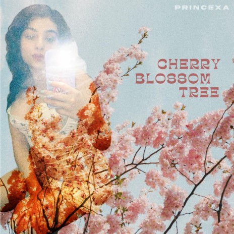 Cherry Blossom Tree | Boomplay Music