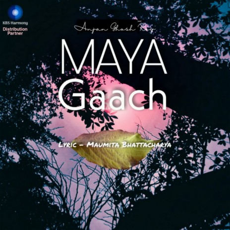 Maya Gaach | Boomplay Music