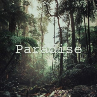 Paradise