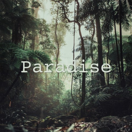 Paradise | Boomplay Music