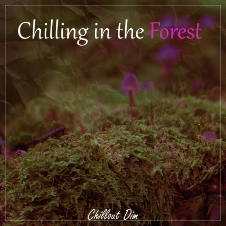 Chilling in the Forest | Boomplay Music