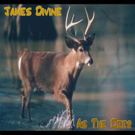 As the Deer/There Is None Like You | Boomplay Music