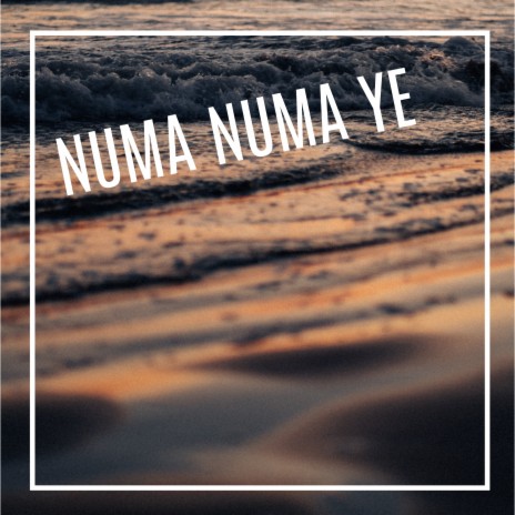 Numa Numa Ye (Remix) | Boomplay Music