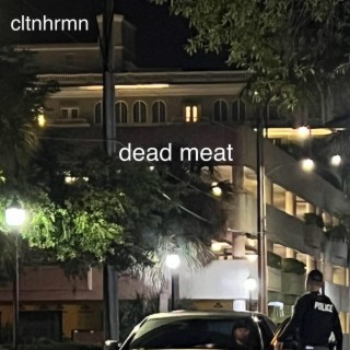 dead meat lyrics | Boomplay Music