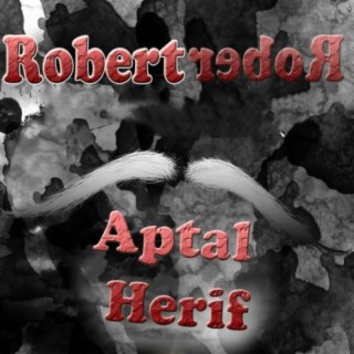 Aptal Herif