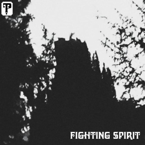 Fighting Spirit | Boomplay Music