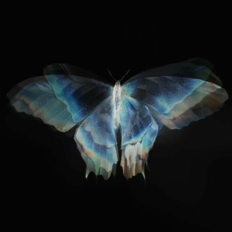 Butterfly wings ft. Yung Cottn Candy | Boomplay Music