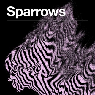 Sparrows