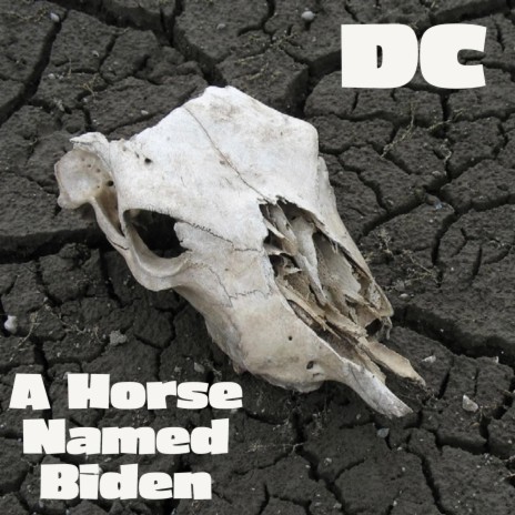 A Horse Named Biden | Boomplay Music