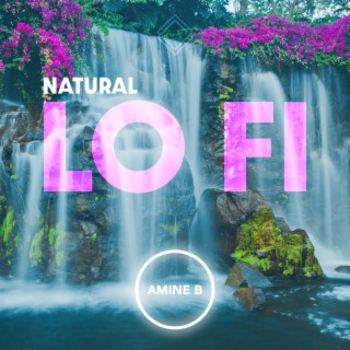 Natural Lo Fi
