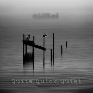 Quite Quick Quiet