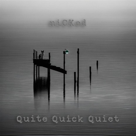 Quite Quick Quiet | Boomplay Music