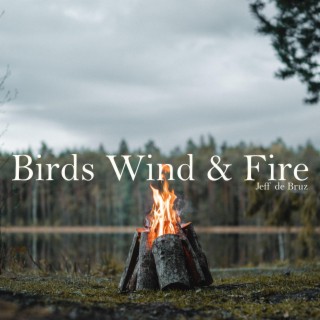 Birds Wind & Fire