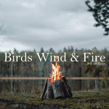Birds Wind & Fire | Boomplay Music