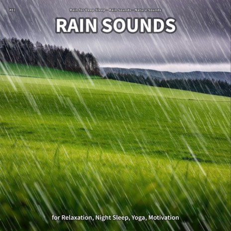 Rain Sounds, Pt. 89 ft. Rain Sounds & Nature Sounds