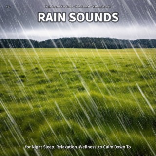 #01 Rain Sounds for Night Sleep, Relaxation, Wellness, to Calm Down To