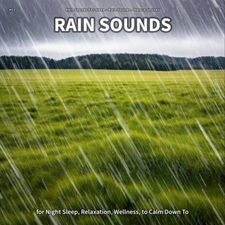 Rain Sounds, Pt. 96 ft. Rain Sounds & Nature Sounds