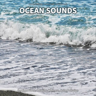 ** Ocean Sounds for Night Sleep, Relaxing, Wellness, Noise Pollution