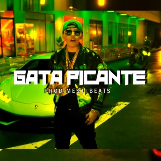 GATA PICANTE