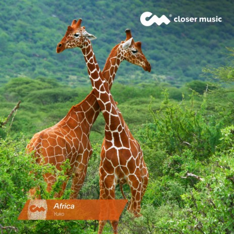 Africa | Boomplay Music