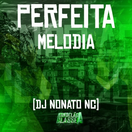 Perfeita Melodia | Boomplay Music