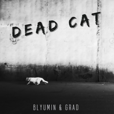 Dead Cat (Acoustic) | Boomplay Music