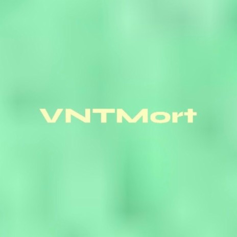 VNT Mort | Boomplay Music