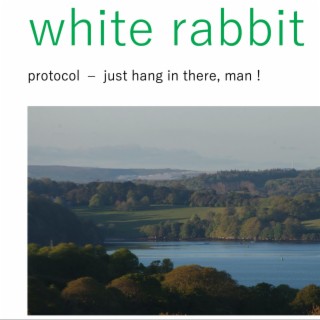 white rabbit (Radio Edit)