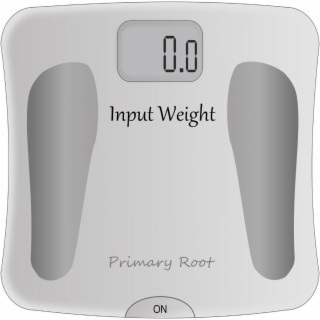 Input Weight