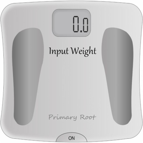 Input Weight | Boomplay Music