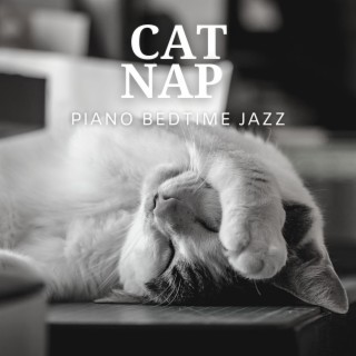 Cat Nap