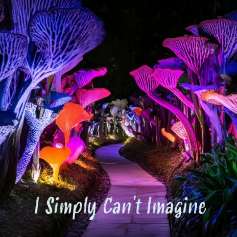 I Simply Can't Imagine | Boomplay Music