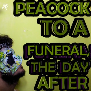 Peacock to a funeral, the day after