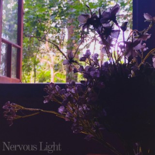 Nervous Light