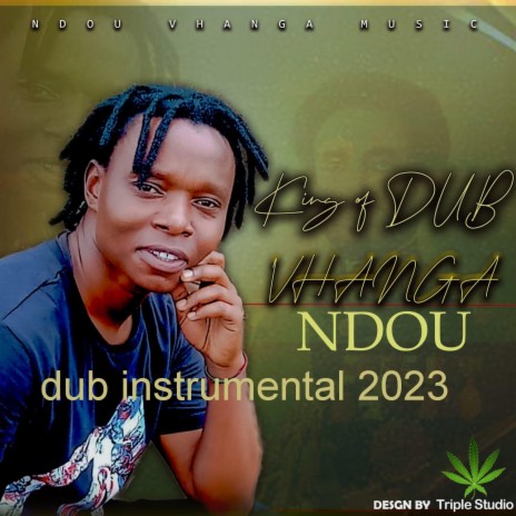Dub instrument 2023