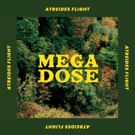 Atreides Flight | Boomplay Music