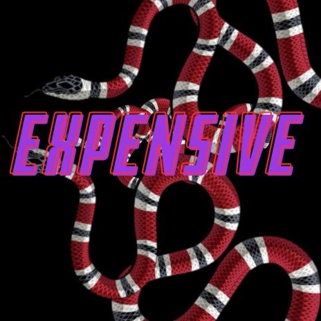 Expensive | Boomplay Music