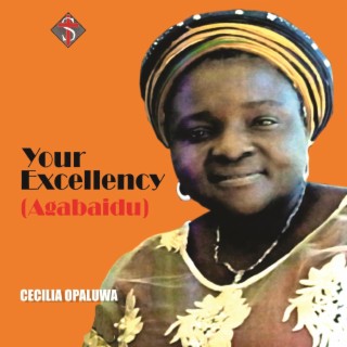 Your Excellency (Agabaidu)