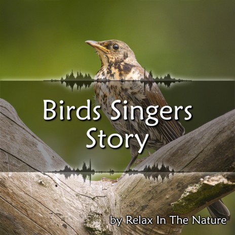 Birds Sing High Up | Boomplay Music