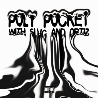 Poly Pocket