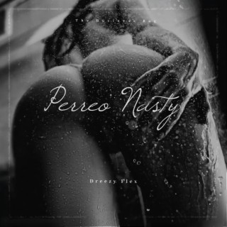 Perreo Nasty ft. BRZ Beats lyrics | Boomplay Music