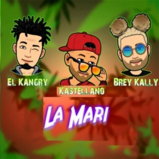 La Mari lyrics | Boomplay Music
