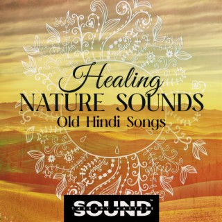Healing Nature Sounds (Relaxing Raindrops, Forest Music, Wildlife Animals) - Old Hindi Songs