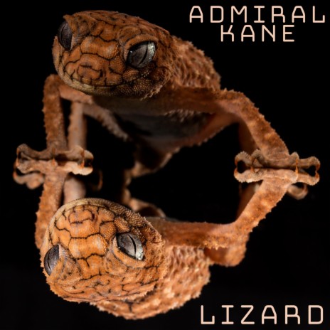 Lizard | Boomplay Music