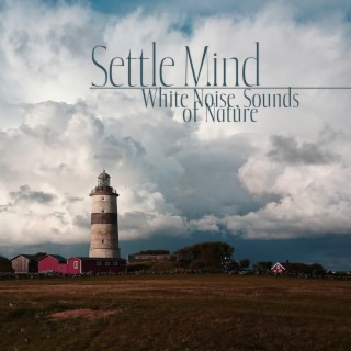 Settle Mind: White Noise, Sounds of Rain, Waves, Thunderstorms for Stress Relife and Deep Sleep